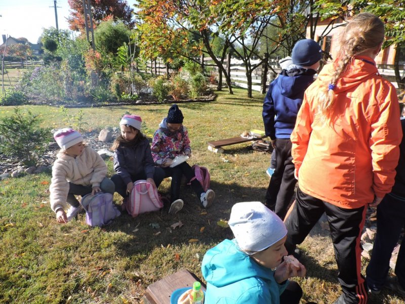 Święto pieczonego ziemniaka 2016